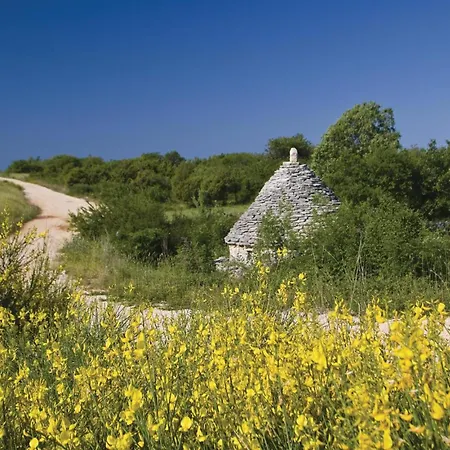 2 Bedroom Amazing In Holiday home